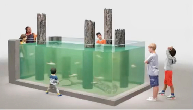 Sections of pier pilings will be inside one of the tanks, recreating the underwater animal habitat that develops on nearby piers. Credit: Hudson River Park Trust